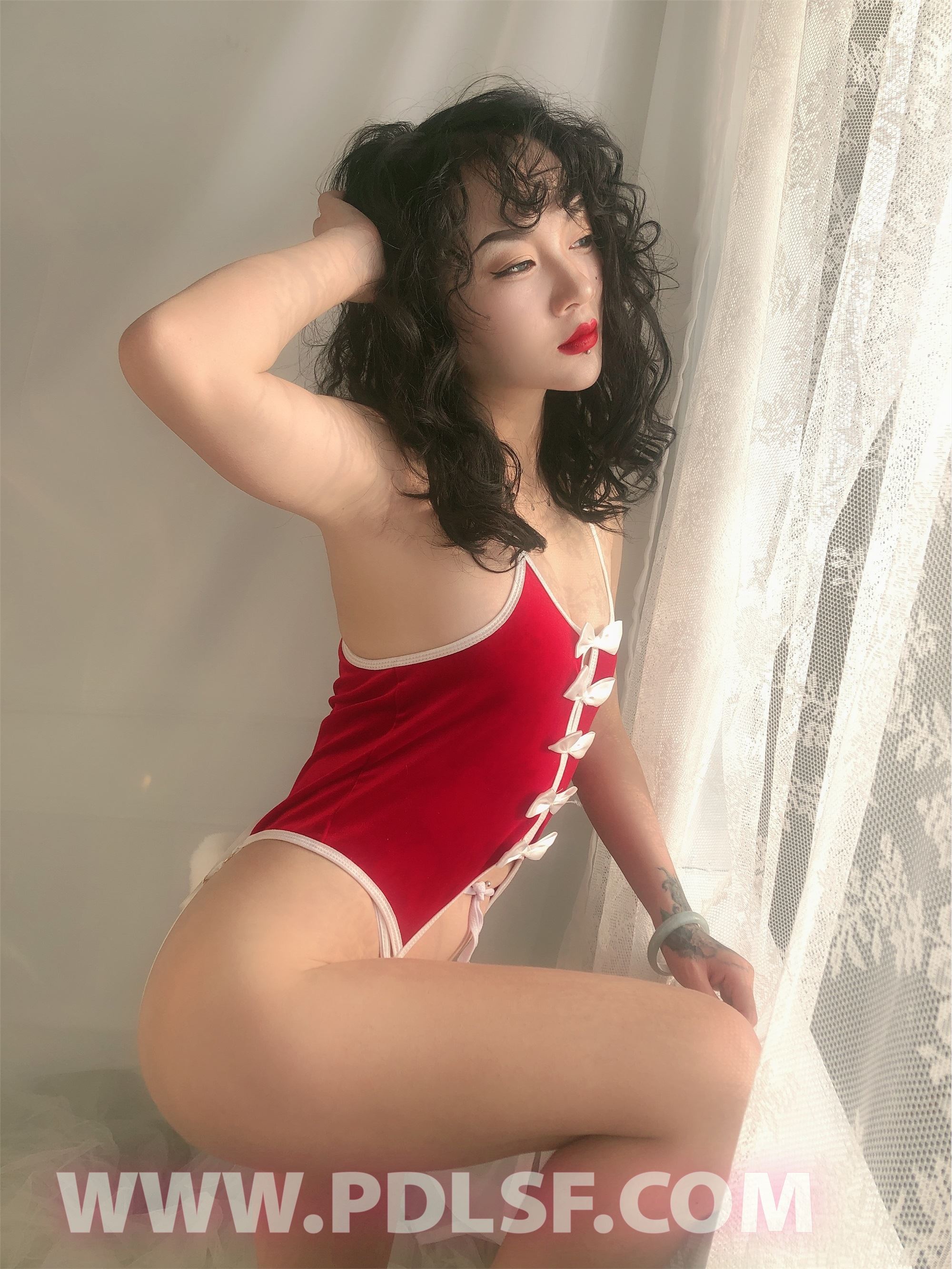 PDL潘多拉 2020.02.03 专辑No.276